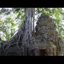 Im Ta Prohm